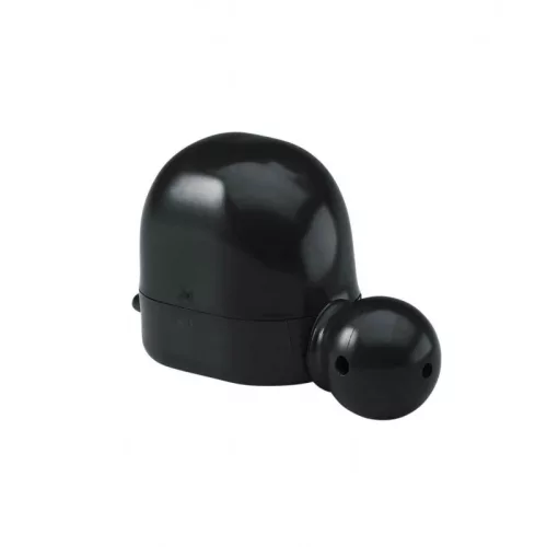 Calling Roebuck Buttolo