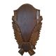 Carved panoply, for buck trophy, wood, dark brown, 36x21 cm