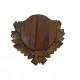 Carved panoply, for wild boar trophy, wood, dark brown, 30x33 cm