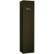 Safety cabinet for gun Delta6