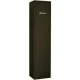 Safety cabinet for gun Delta6